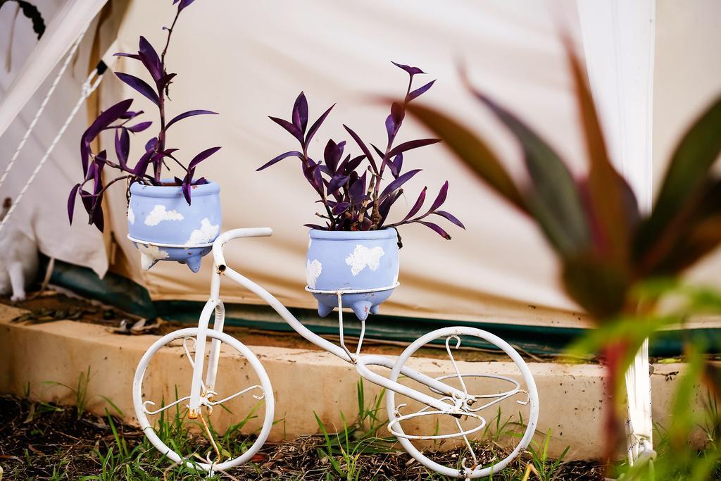 Harmony Glamping Boutique Hotel And Yoga Tulum Quarto foto